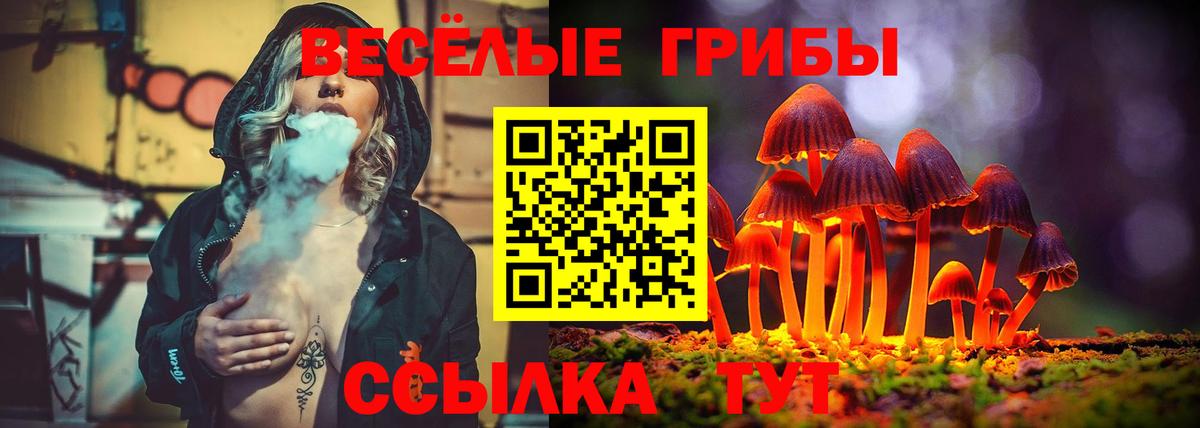 Мариинск  Галлюциногенные грибы мицелий  купить  цена  Вход с VPN 